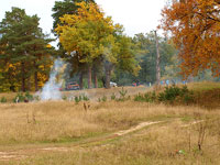 Осенняя палитра